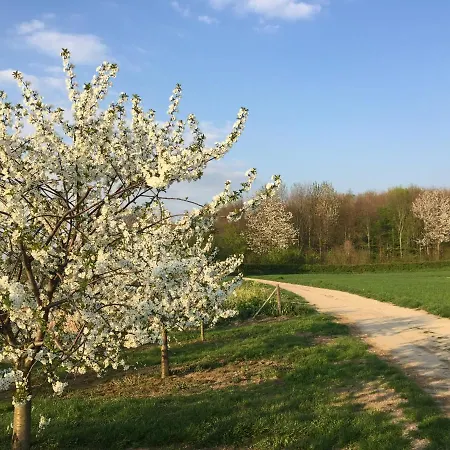 Belle Vue Vakantieappartement *